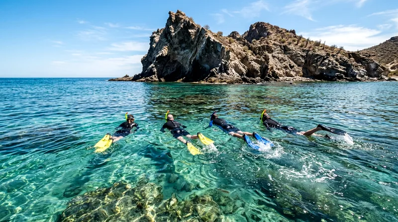 Four snorkelers in shallow water at Pelican Rock with no other swimmers visible nearby.